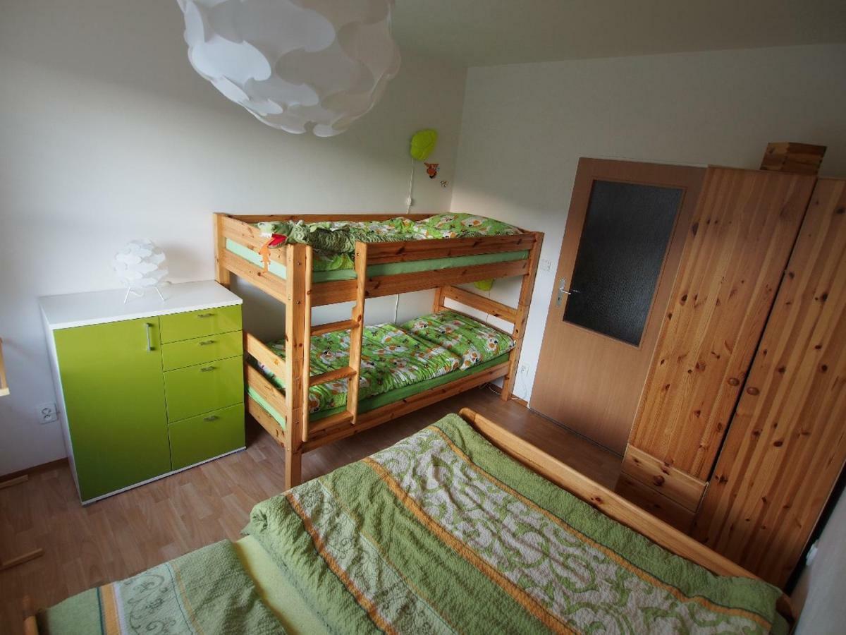 Apartmán Apartmán v Deštném Destne v Orlickych horach Exteriér fotografie