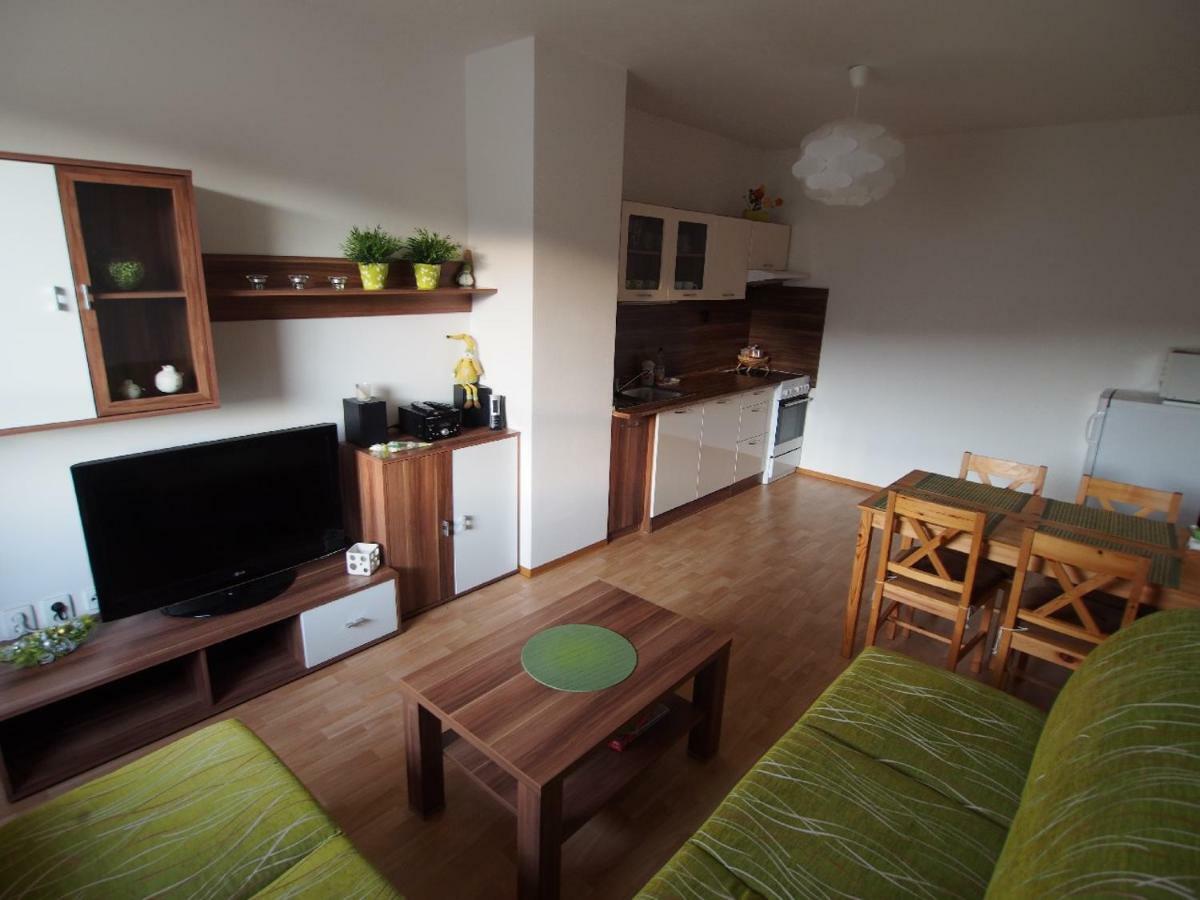 Apartmán Apartmán v Deštném Destne v Orlickych horach Exteriér fotografie