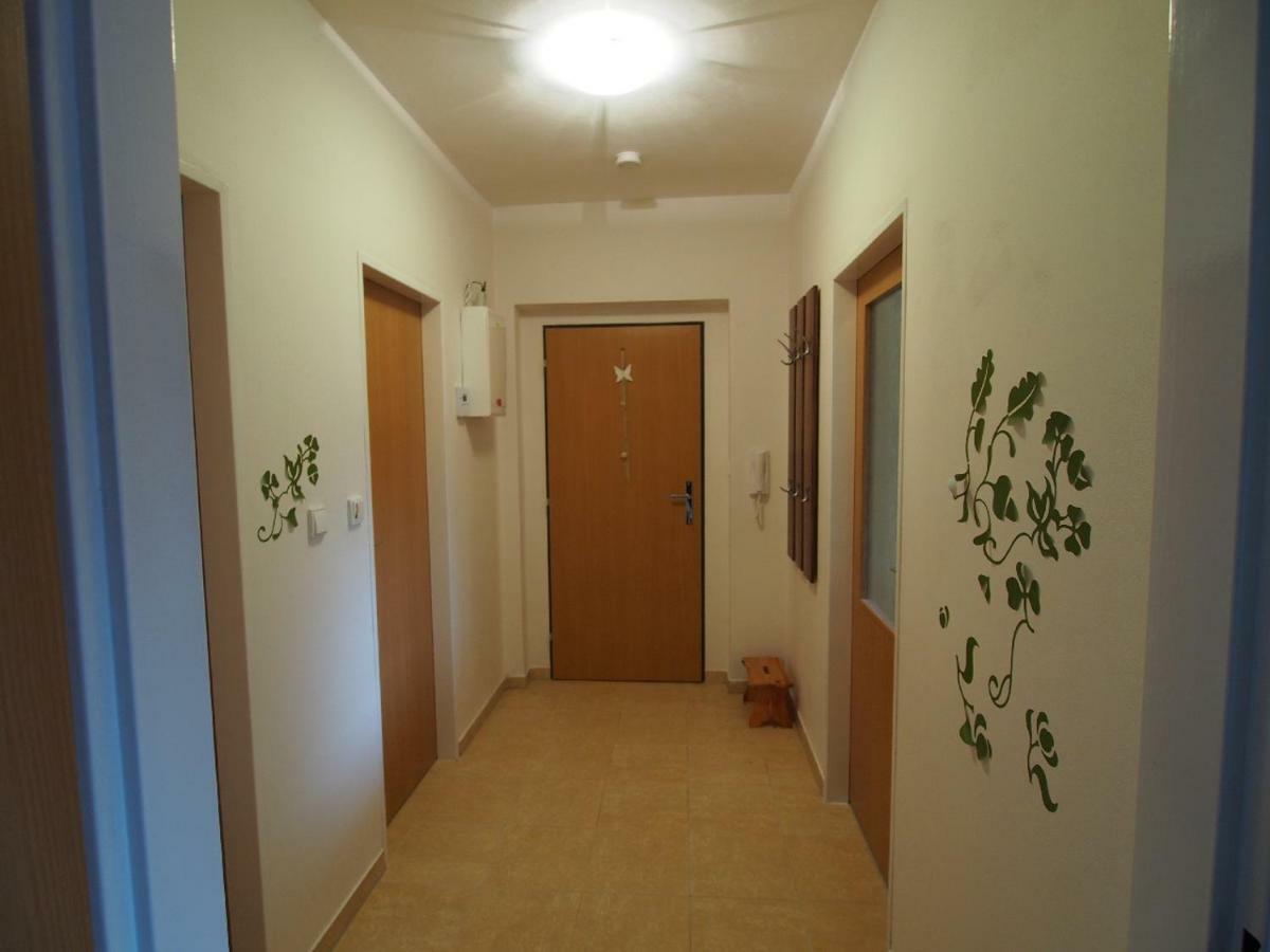 Apartmán Apartmán v Deštném Destne v Orlickych horach Exteriér fotografie