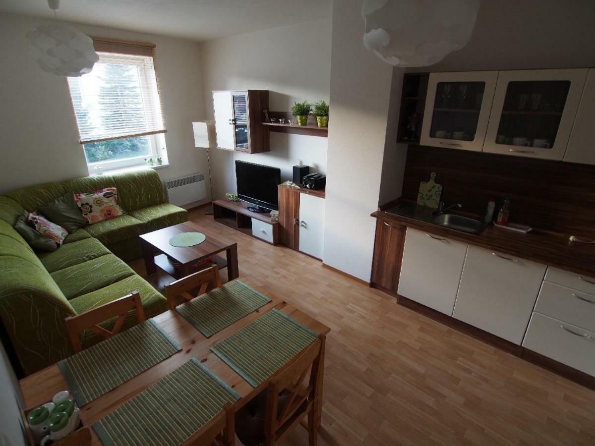 Apartmán Apartmán v Deštném Destne v Orlickych horach Exteriér fotografie